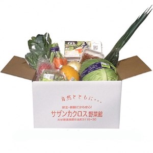 産地直送!旬の朝採れ野菜のセット(9~13種程度)_野菜 _【配送不可地域:離島】【1088636】