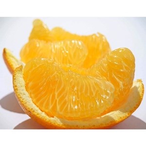 【2026年3月発送】紅八朔 約5kg(化粧箱入り)_果物・フルーツ 柑橘 _【1106338】