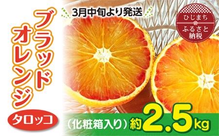 3月下旬より発送 ブラッドオレンジ(タロッコ)2.5kg(11玉~20玉) 化粧箱入り_果物・フルーツ 柑橘 _【1134446】