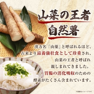 【数量限定】日出町産自然薯「ねばりごし一本」 (1kg)_野菜 自然薯 根菜 じねんじょ ジネンジョ_【1134765】