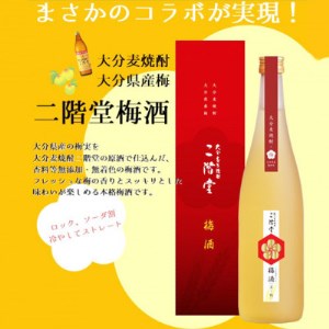 【数量限定】二階堂 梅酒 (化粧箱入り) AG42_大分むぎ焼酎 二階堂 麦焼酎 焼酎 酒 梅酒_【1291923】