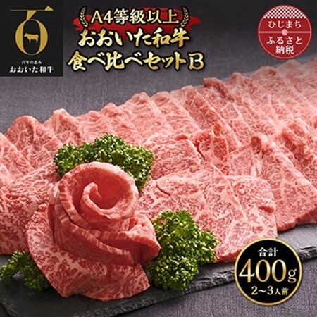 おおいた和牛 食べ比べセットB( 上カルビ & 上ロース )(合計400g)2~3人前_牛肉 肉 和牛 おおいた和牛 国産牛 お肉 肉セット 焼肉 食べ比べ_【配送不可地域:離島】【1292973】
