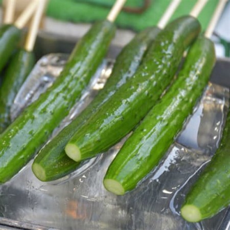 大分県日出町産「白いぼきゅうり」5kg(40~50本入り)_野菜 _【1304915】