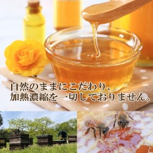 【詰め替え用】純粋国産百花蜂蜜700g×2【1312399】