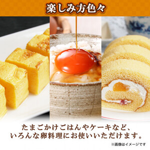 蘭王たまご 10個入り 6パック ギフト箱でお届け_卵 たまご 玉子 タマゴ 鶏卵 まとめ買い オムレツ 卵かけご飯 朝食 料理 人気 美味しい_【1322802】