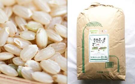 【令和5年産】 さとうファームの 自然栽培米 玄米 30kg(30kg×1袋) ミルキークイーン お米 米