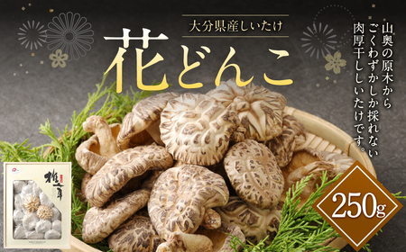 大分産 しいたけ 花どんこ 250g 肉厚 干ししいたけ きのこ