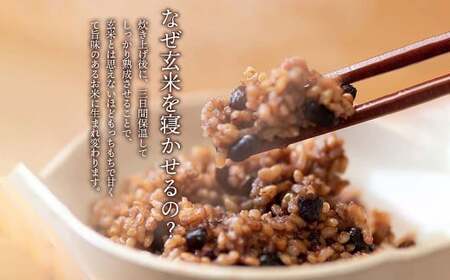 洗わずそのまま 発芽酵素玄米 炊飯セット+GABA 3合(450g)×2セット 合計6合分 炊くだけ 無洗