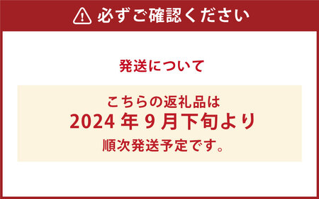 洗わずそのまま 発芽酵素玄米 炊飯セット 3合(450g) 炊くだけ 無洗