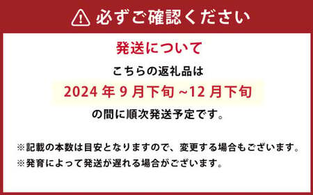 九重町産 白ネギ 約6kg (36本～60本)  【2024年9月下旬-12月下旬発送】