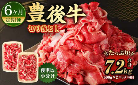 【6ヶ月定期便】豊後牛 切り落とし 1.2kg (600g×2) × 6回 定期便 牛肉 大分県産 国産 焼肉 ステーキ 霜降り【2025年2月発送開始】