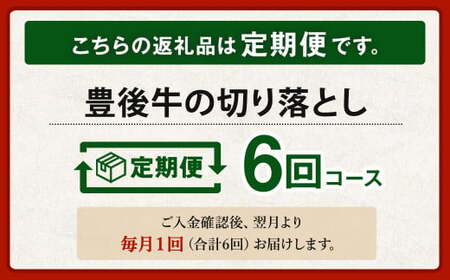 【6ヶ月定期便】豊後牛 切り落とし 1.2kg (600g×2) × 6回 定期便 牛肉 大分県産 国産 焼肉 ステーキ 霜降り【2025年2月発送開始】