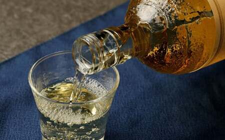 【2ヶ月ごと3回定期便】25度銀座のすずめ琥珀 720ml 2本 麦焼酎 焼酎 お酒 アルコール 熟成 大分県 定期便