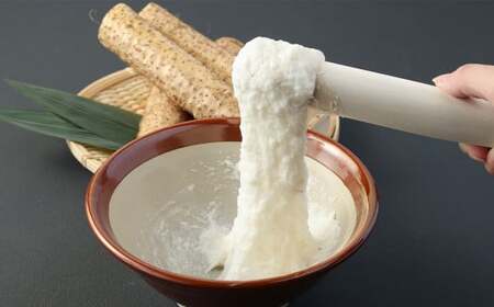 ここのえの自然薯 約1kg 山芋 ヤマイモ やまいも 芋 九重町産 【2025年12月上旬-2026年2月下旬まで順次発送予定】