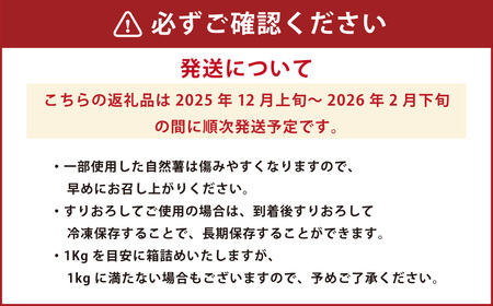 ここのえの自然薯 約1kg 山芋 ヤマイモ やまいも 芋 九重町産 【2025年12月上旬-2026年2月下旬まで順次発送予定】