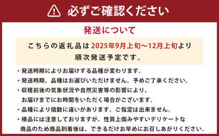 九重町産 電子技法栽培 梨 5kg 果物 大分県産 (二十世紀・豊水・あきづき・新高・新興のうちいずれか一種) 【2025年9月上旬-12月上旬発送予定】