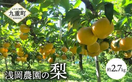 浅岡農園 の 梨 約2.7kg 豊水 秋月 新高 甘太 果物 大分県産 【2026年9月上旬-11月上旬発送予定】