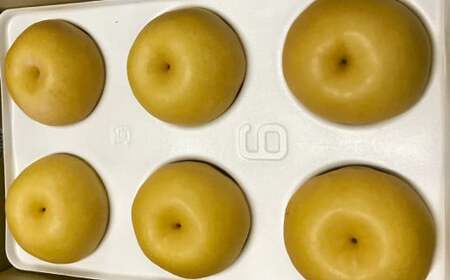 浅岡農園 の 梨 約2.7kg 豊水 秋月 新高 甘太 果物 大分県産 【2026年9月上旬-11月上旬発送予定】