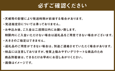 浅岡農園 の 梨 約2.7kg 豊水 秋月 新高 甘太 果物 大分県産 【2026年9月上旬-11月上旬発送予定】