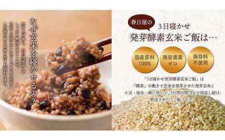 【常温】3日寝かせ発芽酵素 玄米ごはん 28食 セット （125g×28食） 玄米 ごはん
