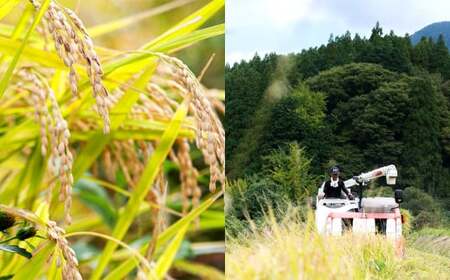 さとうファーム 麹のあまざけ 900ml×4本セット 甘酒 有機栽培 山田錦