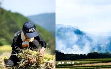 さとうファーム 麹のあまざけ 900ml×4本セット 甘酒 有機栽培 山田錦