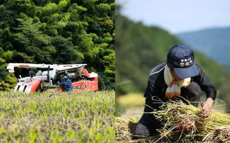 さとうファームの 有機栽培 緑米 2.1kg(700g×3袋) お米 米