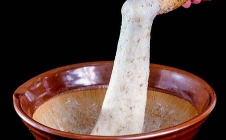 九重町産 自然薯 お試しセット 約500g【すりおろし】 じねんじょ やまいも 山芋 ヤマノイモ 大分県 九重町 【2026年4月下旬まで発送予定】