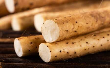 九重町産 自然薯 お試しセット 約500g【すりおろし】 じねんじょ やまいも 山芋 ヤマノイモ 大分県 九重町 【2026年4月下旬まで発送予定】