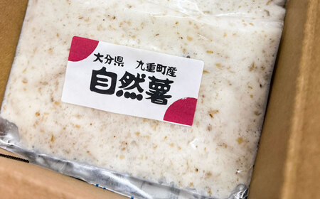 九重町産 自然薯 お試しセット 約500g【すりおろし】 じねんじょ やまいも 山芋 ヤマノイモ 大分県 九重町 【2026年4月下旬まで発送予定】