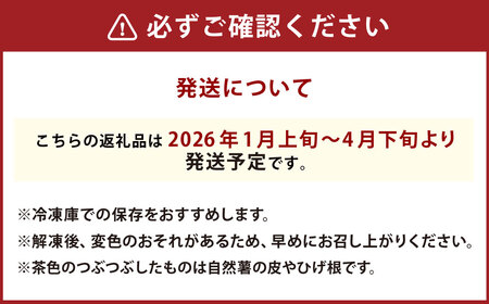 九重町産 自然薯 お試しセット 約500g【すりおろし】 じねんじょ やまいも 山芋 ヤマノイモ 大分県 九重町 【2026年4月下旬まで発送予定】