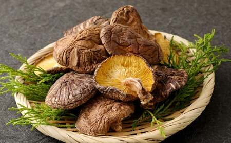 大分産 椎茸こうしん 50g×9袋 合計450g 原木乾しいたけ