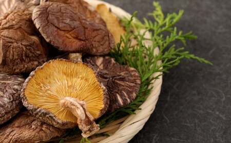 大分産 椎茸こうしん 50g×9袋 合計450g 原木乾しいたけ