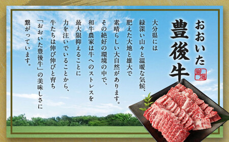 【大分県産】 豊後牛 焼肉用 カルビ 切り落とし 330g 牛肉 中落ち