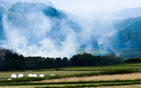 【令和7年産】さとうファームの 有機栽培米 白米 ミルキークイーン 20kg (5kg×4袋) お米 米 精米