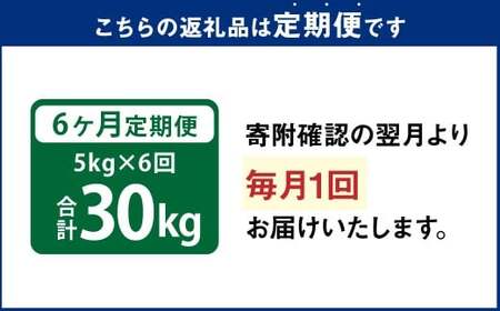 【6ヵ月定期便】 九重 ひとめぼれ 5kg×6回 計30kg 米 こめ コメ お米 精米 ご飯 ごはん 常温 国産