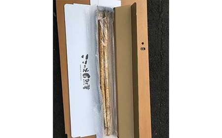 ここのえの自然薯 約1kg 長芋 山芋 とろろ 山菜 九重町産 【2026年2月下旬まで発送予定】