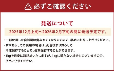ここのえの自然薯 約1kg 長芋 山芋 とろろ 山菜 九重町産 【2026年2月下旬まで発送予定】