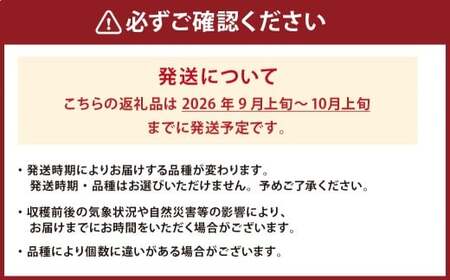 九重産 3L以上 梨 約3kg 梨( 二十世紀 あきづき 王秋 新高 豊水 甘太 のうちいずれか一種類) 【2026年9月上旬から10月上旬発送予定】