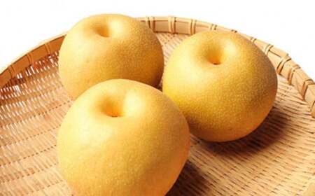 九重産 3L以上 梨 約3kg 梨( 二十世紀 あきづき 王秋 新高 豊水 甘太 のうちいずれか一種類) 【2026年9月上旬から10月上旬発送予定】