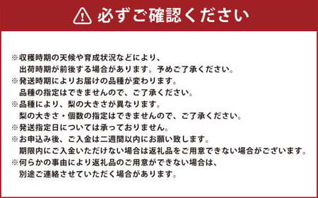 大分県 九重町産 梨 詰め合わせ 約5kg 【2026年8月下旬-10月下旬発送予定】