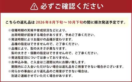 大分県 九重町産 梨 詰め合わせ 約10kg 【2026年8月下旬-10月下旬発送予定】