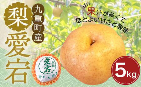  九重町産 梨 「愛宕」 約5kg 果物 フルーツ 贈答品 【2026年12月発送予定】