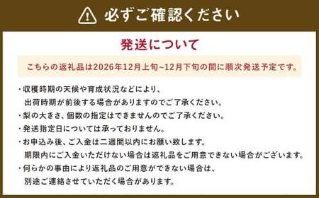  九重町産 梨 「愛宕」 約5kg 果物 フルーツ 贈答品 【2026年12月発送予定】