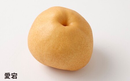 浅岡農園の梨 約10kg 梨 なし ナシ くだもの 果物 フルーツ 果実 和梨 王秋 にっこり 愛宕 大分県 九重町  【2026年11月下旬発送予定】