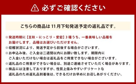 浅岡農園の梨 約5kg 梨 なし ナシ くだもの 果物 フルーツ 果実 和梨 王秋 にっこり 愛宕 大分県 九重町 【2026年11月下旬発送予定】