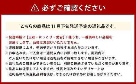 浅岡農園の梨 約2.7kg 梨 なし ナシ くだもの 果物 フルーツ 果実 和梨 王秋 にっこり 愛宕 大分県 九重町 【2026年11月下旬発送予定】
