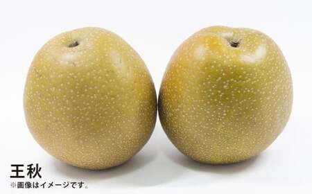 浅岡農園の梨 約2.7kg 梨 なし ナシ くだもの 果物 フルーツ 果実 和梨 王秋 にっこり 愛宕 大分県 九重町 【2026年11月下旬発送予定】