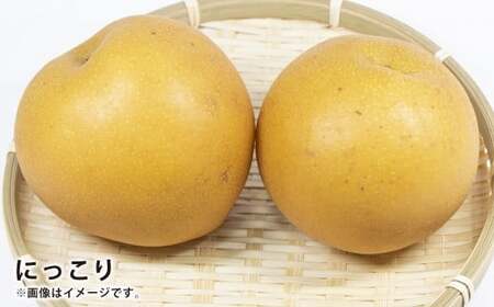 浅岡農園の梨 約2.7kg 梨 なし ナシ くだもの 果物 フルーツ 果実 和梨 王秋 にっこり 愛宕 大分県 九重町 【2026年11月下旬発送予定】