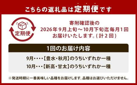 浅岡農園の梨 約2.7kg 梨 なし ナシ くだもの 果物 フルーツ 果実 和梨 豊水 秋月 新高 甘太 大分県 九重町 【2回定期便 2026年9月･10月発送】